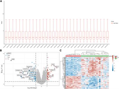 A novel signature combing cuproptosis- and ferroptosis-related genes in sepsis-induced cardiomyopathy